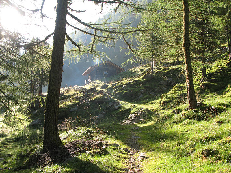 hochschober